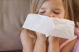 5 gyakori allergénforrás a lakásban
