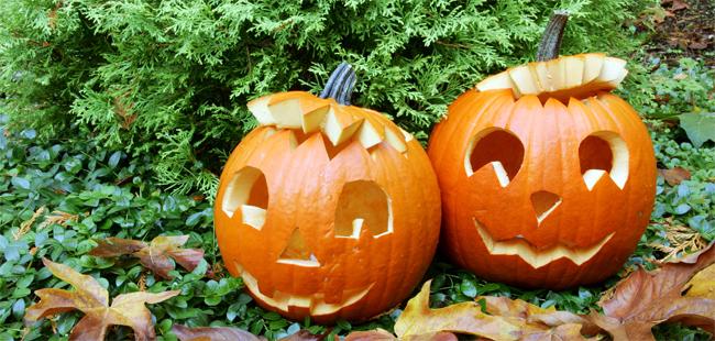 Halloween tök minták: 20 tök szuper ötlet Halloween tök faragásához! 
