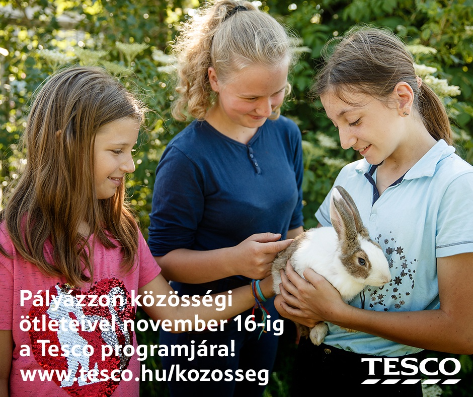 Óvodai és iskolai alapítványok jelentkezését is várják a Tesco közösségi pályázatára