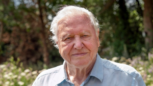 Sir David Attenborough megrázó felvételekkel szemléltette az emberek hatását az élővilágra