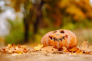 Jó ötlet kidobni a halloween tököt az erdőbe, természetbe?