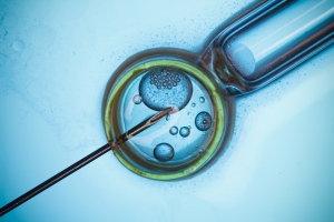 Mesterséges emberi embriókat hoztak létre kutatók - Elméletileg képesek lennének élőlénnyé fejlődni