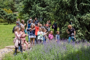 Tavaszi programötlet gyerekeknek: Arcfestés, időutazás, szabadulószoba a Folly Arborétumban