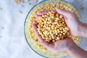 Miért kell a babot beáztatni?