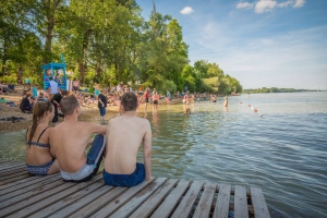 Újra csobbanhatunk Budapest egyetlen szabadstrandján!