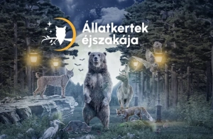 Programötlet: Pénteken este lesz az Állatkertek Éjszakája!