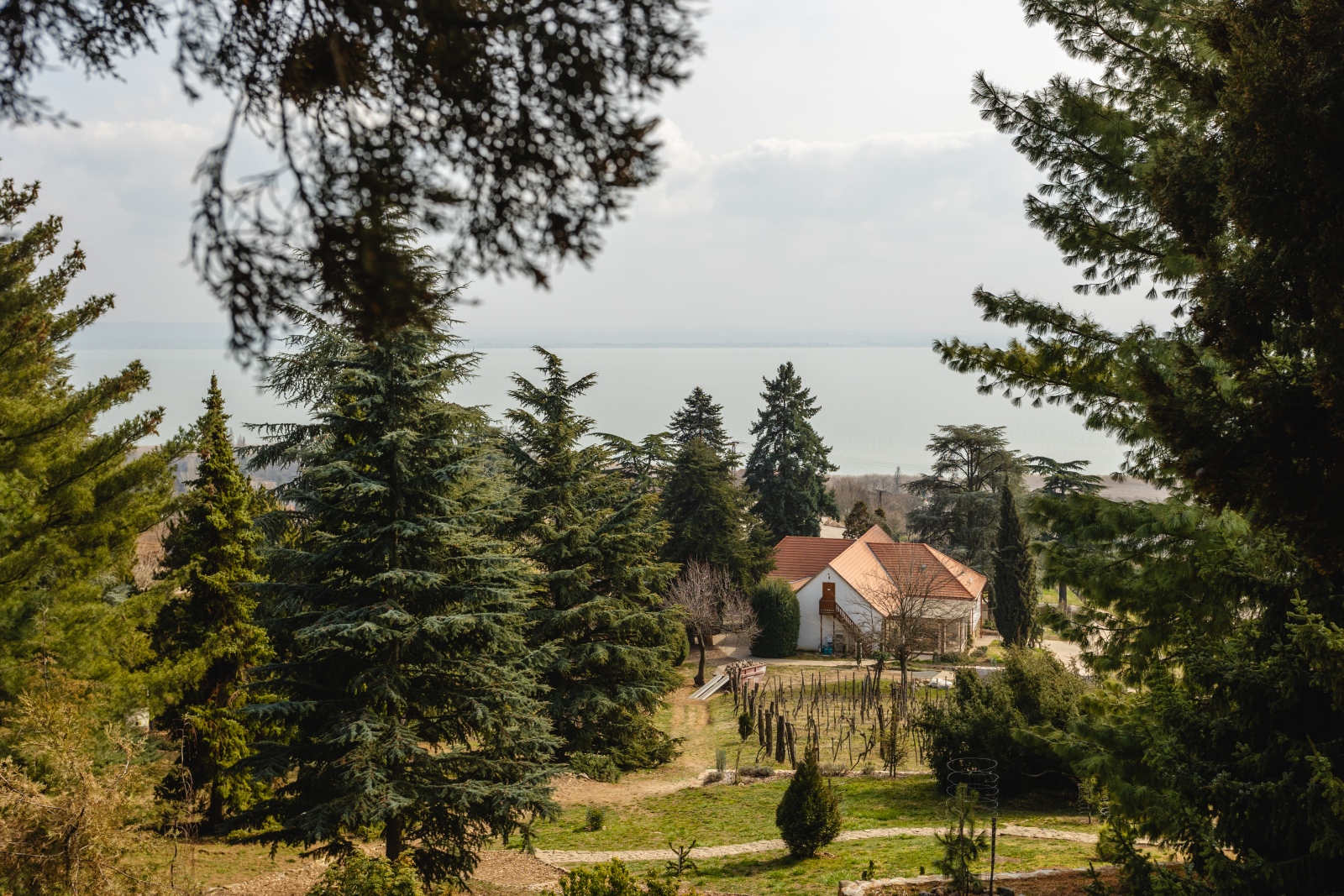 Folly Arborétum #kirándulás #balaton #Balaton #balaton gyerekkel #folly arborétum #Balaton gyerekkel #Balaton északi part #balaton északi part #Folly Arborétum