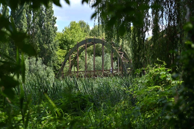 Kányavári-sziget a Kis-Balatonnál