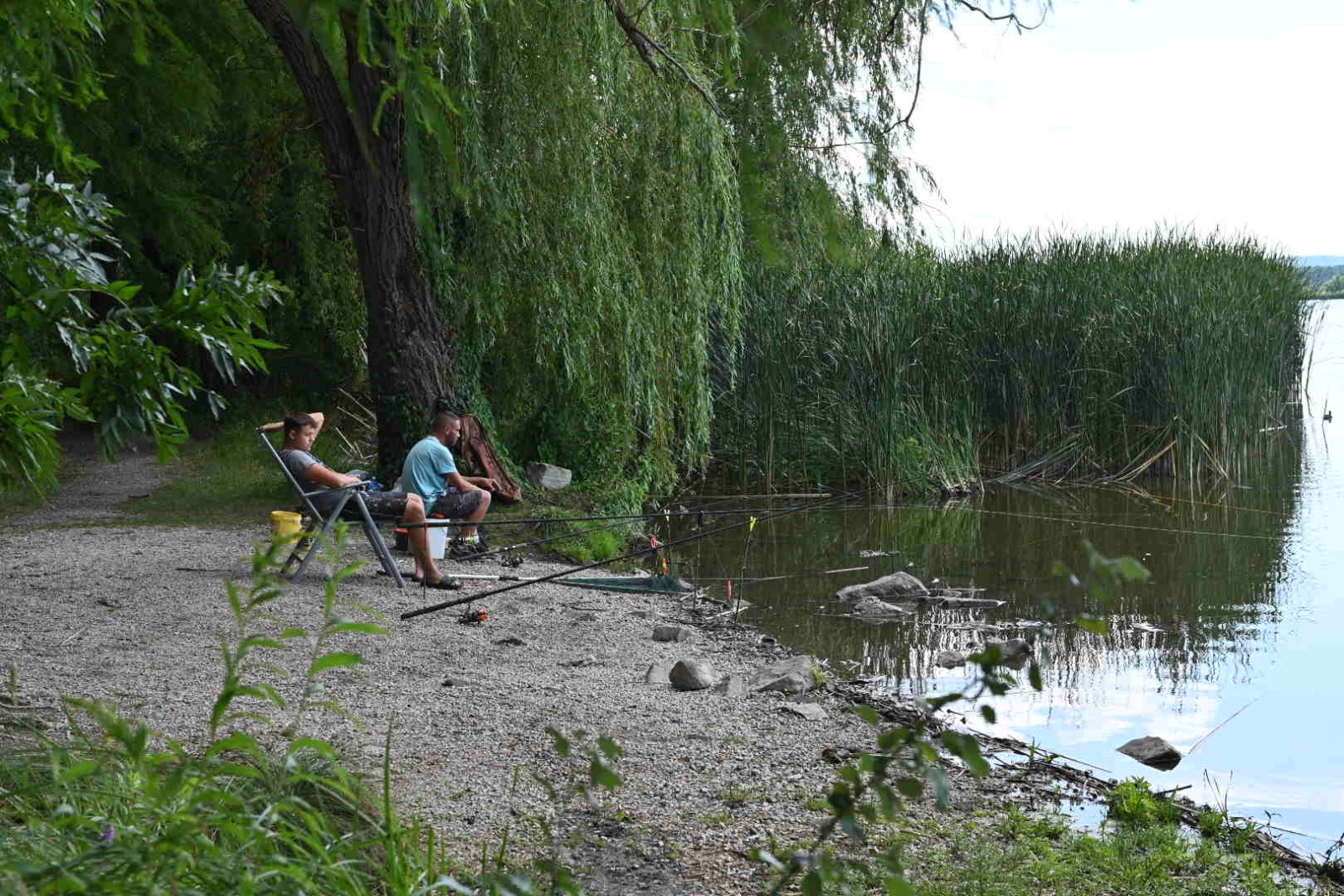 A Kányavári-szigeten horgászni is lehet #kis-balaton #kirándulás gyerekkel #Kányavári-sziget #Kis-Balaton #kányavári-sziget #kirándulás a balatonnál #horgászat