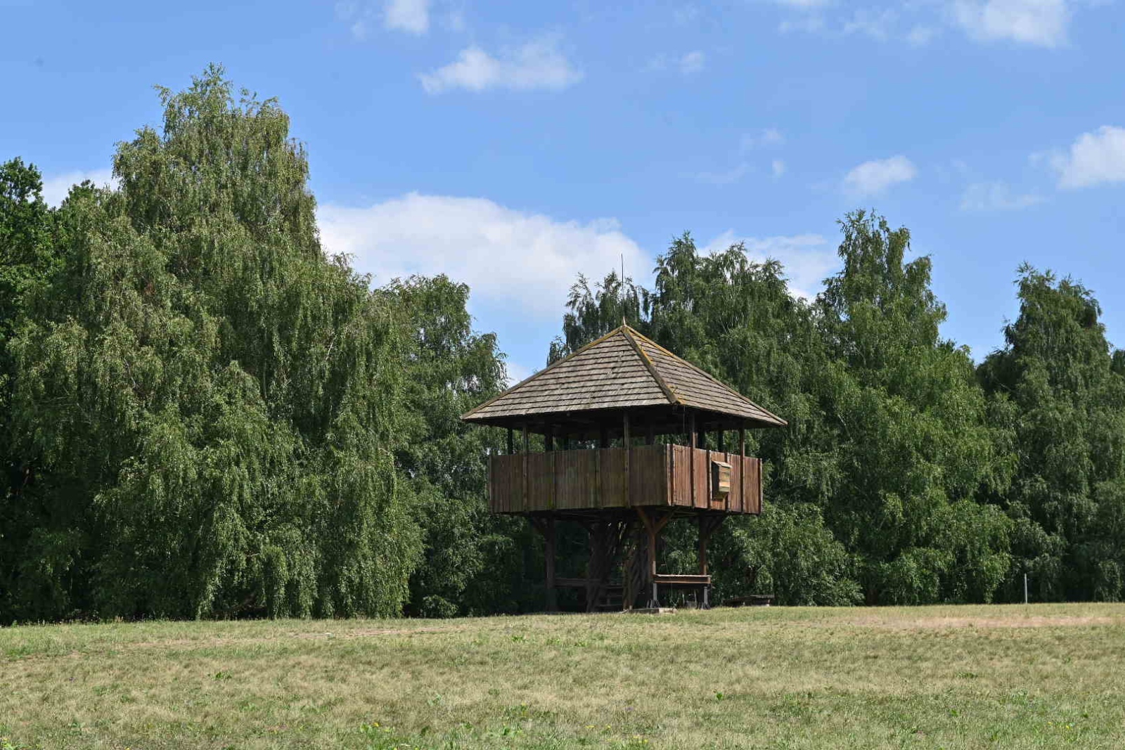 Kilátó a Kányavári-szigeten #kis-balaton #kirándulás gyerekkel #Kányavári-sziget #Kis-Balaton #kányavári-sziget #kirándulás a balatonnál