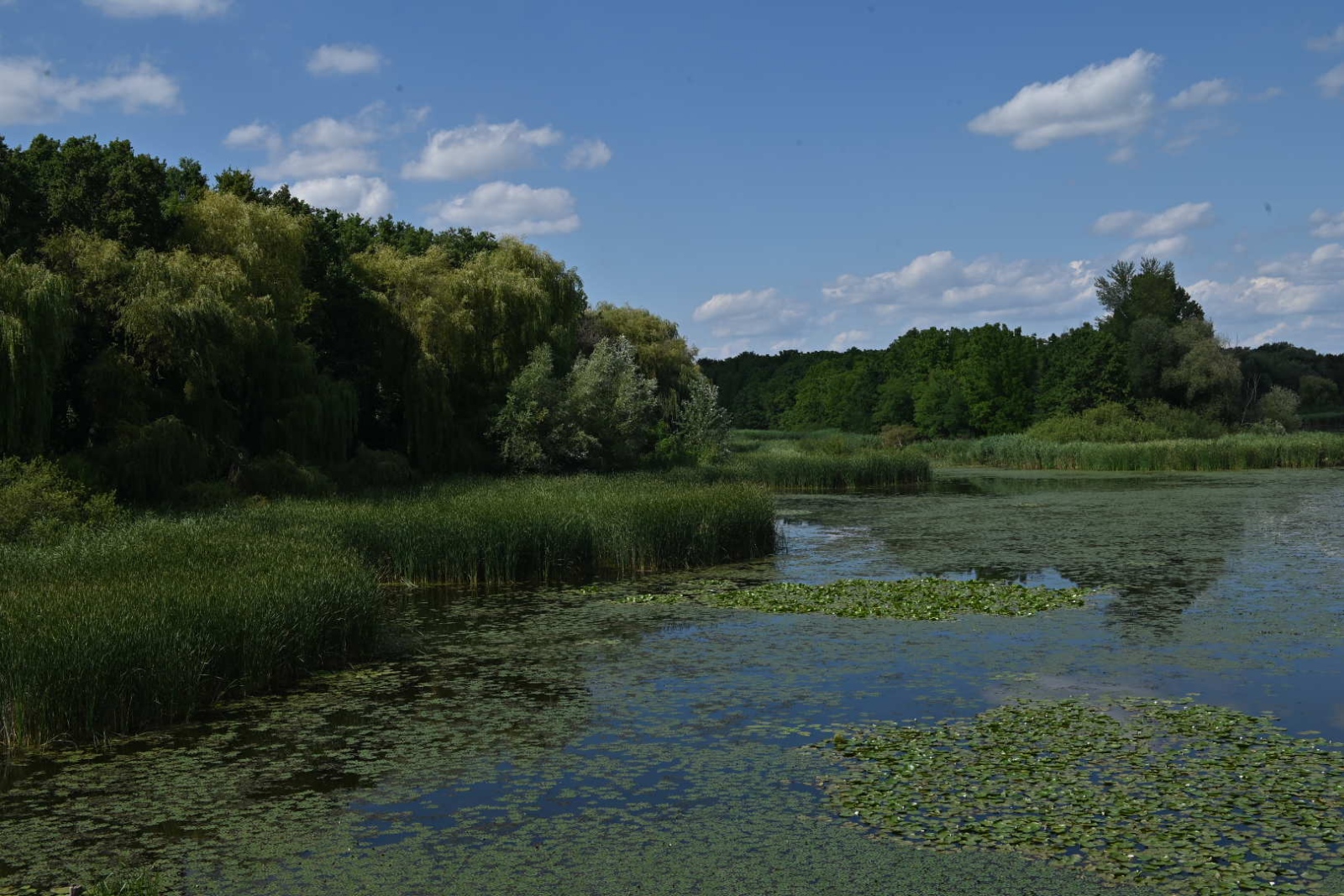 Kányavári-sziget a Kis-Balatonnál #kis-balaton #kirándulás gyerekkel #Kányavári-sziget #Kis-Balaton #kányavári-sziget #kirándulás a balatonnál