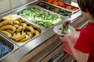 Meglepő fordulat a menzákon: ahol választhatnak a gyerekek, ott kevesebb étel végzi a kukában
