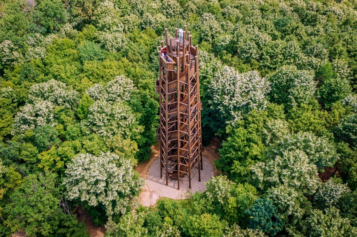 Zselici Csillagpark kilátó