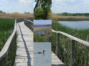 Tisza-tó, Poroszlói Ökocentrum